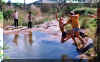 bathing2.JPG (42364 bytes)