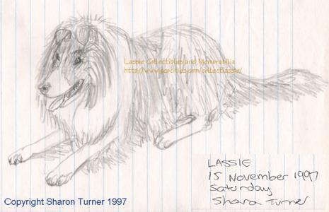 Lassie drawn in pencil, copyright Sharon Turner 1997
