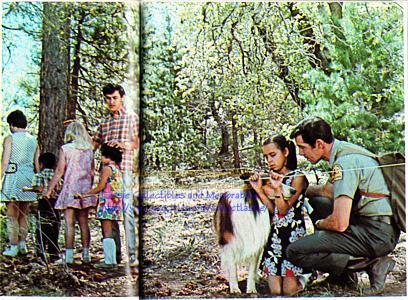 The trail (built by Lassie's producers, the Braille Institute and the U.S. Forest Service) and the blind explorers. Kathy, Lassie and actor Jed Allan set out on the trail