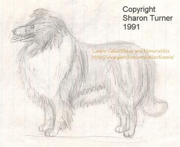 Lassie drawing in pencil, copyright Sharon Turner 1991