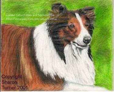 Lassie drawing copyright Sharon Turner 2001
