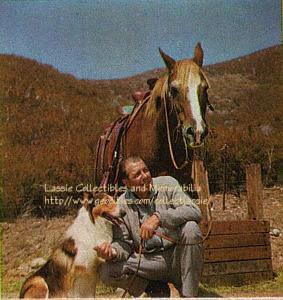 Lassie, Corey Stuart and a chestnut horse with white blaze