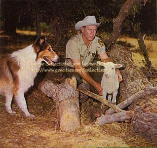 Lassie and Corey Stuart, with a lamb