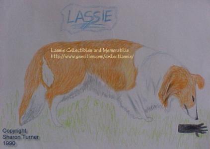 Lassie sniffing glove, drawing copyright Sharon Turner 1990