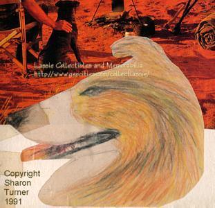Side view Lassie's head, drawing copyright Sharon Turner 1991