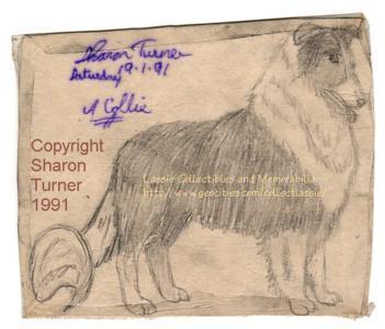 Lassie standing, long tail, pencil drawing copyright Sharon Turner 1991