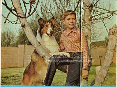 Lassie (Baby) and Timmy Martin (Jon Provost)
