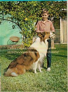 Lassie enjoys showing how a dog can carry a newspaper or ball