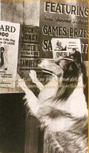 The seventh Lassie, in The Magic of Lassie [Note: Boy was in fact 'officially' * the sixth Lassie]