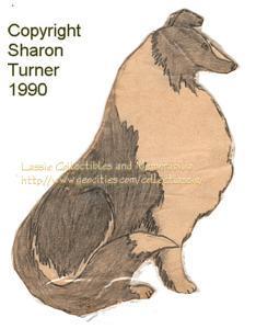Magestic collie pencil drawing, copyright Sharon Turner 1990