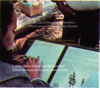 Guide plaque, with Braille and non-Braille descriptions