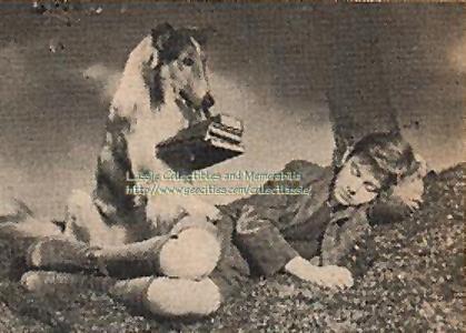 First came Lassie Come Home with Roddy McDowall playing the collie's young owner