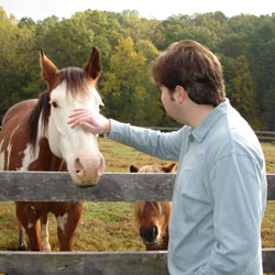 horses in the side yard!&nbsp; 