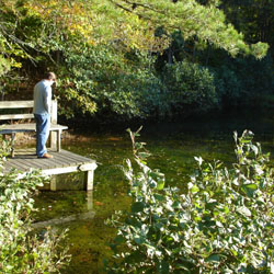 at the green fish pond
