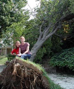 cary-town downed tree tour (a seasonal tour)