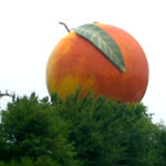let's count peach shaped watertowers!&nbsp; one...