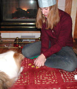attentively, chevy watches while bec tries to trick her with the walnut game.&nbsp; chev's too smart though...