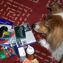 chevy ponders the highlights of alex's stocking stuffings