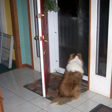carolers!&nbsp; chevy's friends! ...and they left?