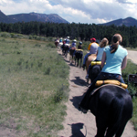 bec on horseback...