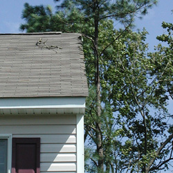 roof damage ...such a beautiful day!!