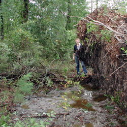 coll and the new pond in the yard...so big!!