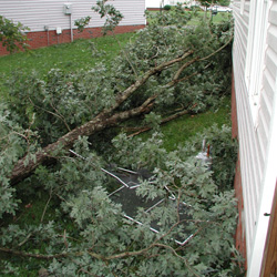close to the house