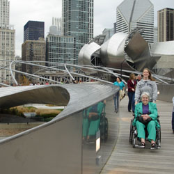 BP bridge and the pavillion