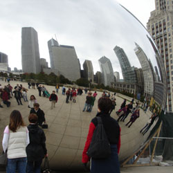 up close on the bean --we're near the lady in bright green!