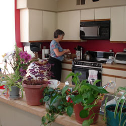 clean kitchen!&nbsp; how does she do it???