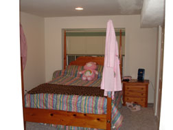 basement guest room with attached full-bath