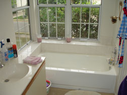 hmmm...mastertub, but the shower and toilet are in a non-window closet nearby