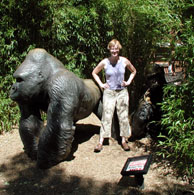 coll & brass gorillas!