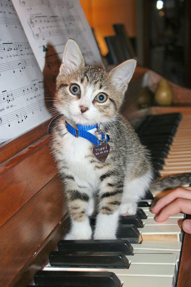 Tommy on piano