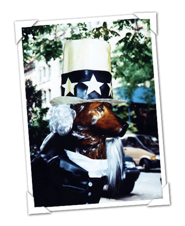 Uncle sam's dog in its location