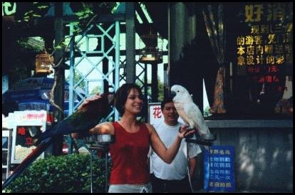 Chinese birds