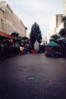 Christmas tree in King Street