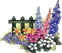 flower garden