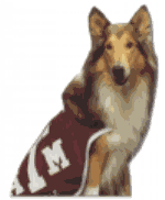 Reveille