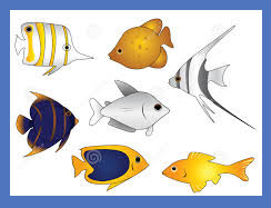 fish