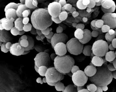 ImageN-Electron-Microscopy.jpg