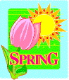 Click To View Our Spring Services