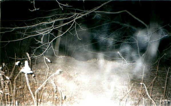 This is ectoplasm