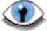 eye with iris colocoma