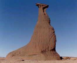 La girafe