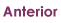 anterior.GIF (427 bytes)