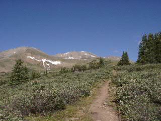 Mount Massive from Mount Massive Trail