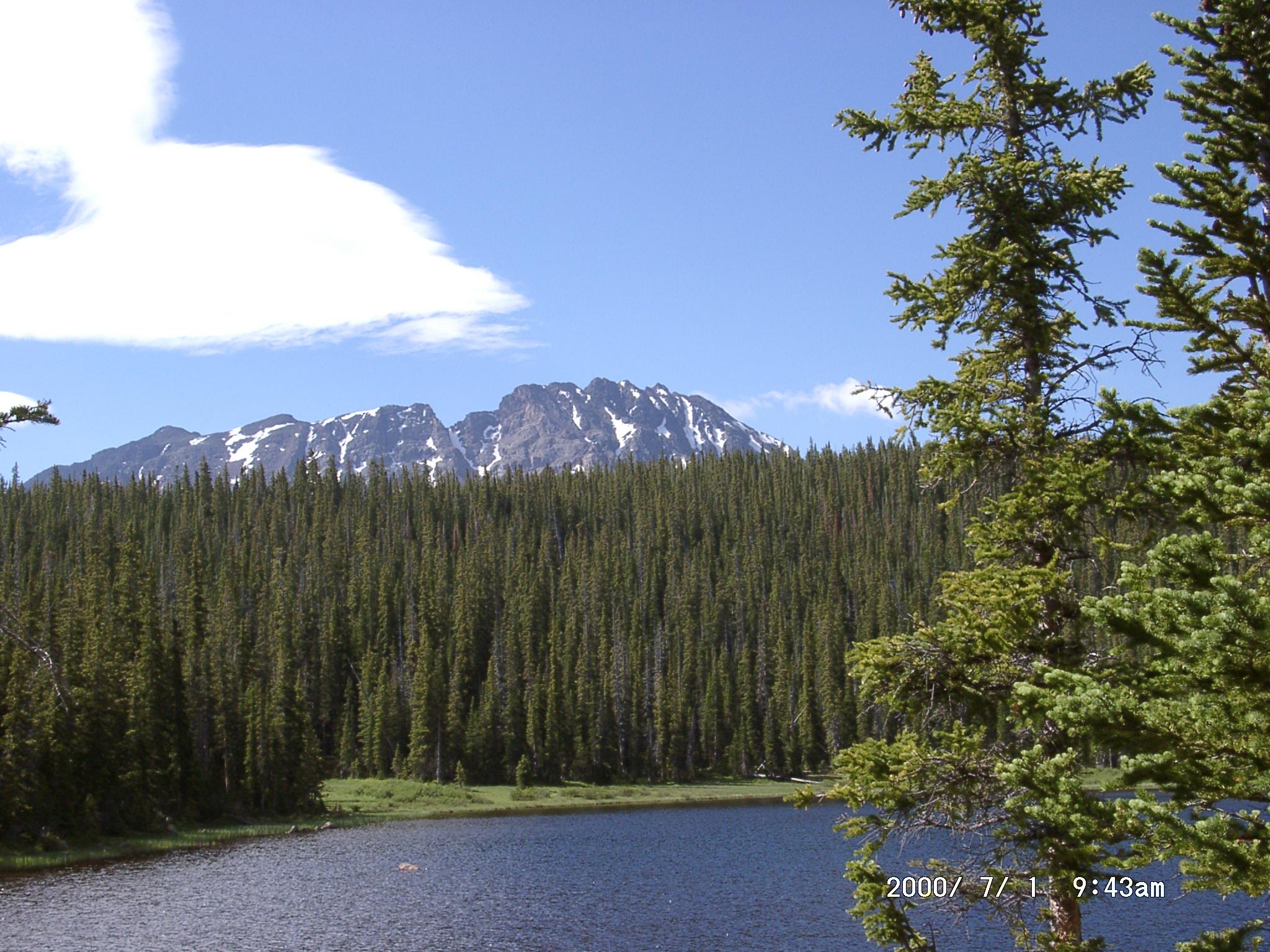 Eaglesmere Lake, Largest