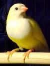 GABBY.jpg (90705 bytes)