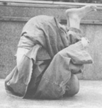 jujo28a